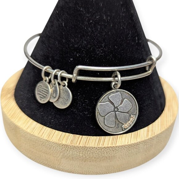 Alex and Ani Jewelry - Alex & Ani 2015 Friend Silver Tone Charm Bracelet